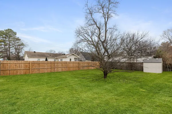 a view of a yard with large trees