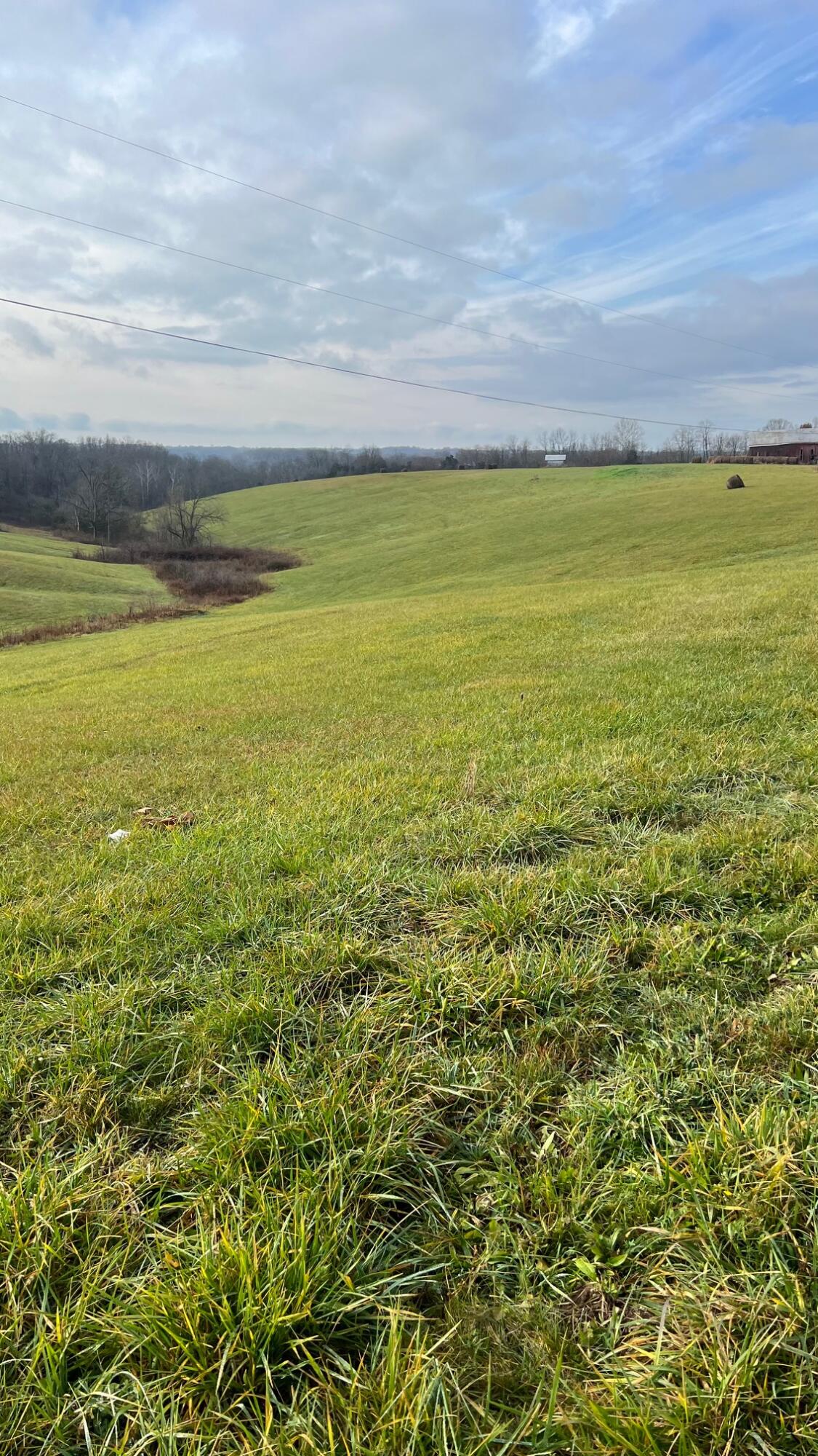 360-5 Mulligan Road Dry Ridge, KY 41035 - Photo 9 of 19