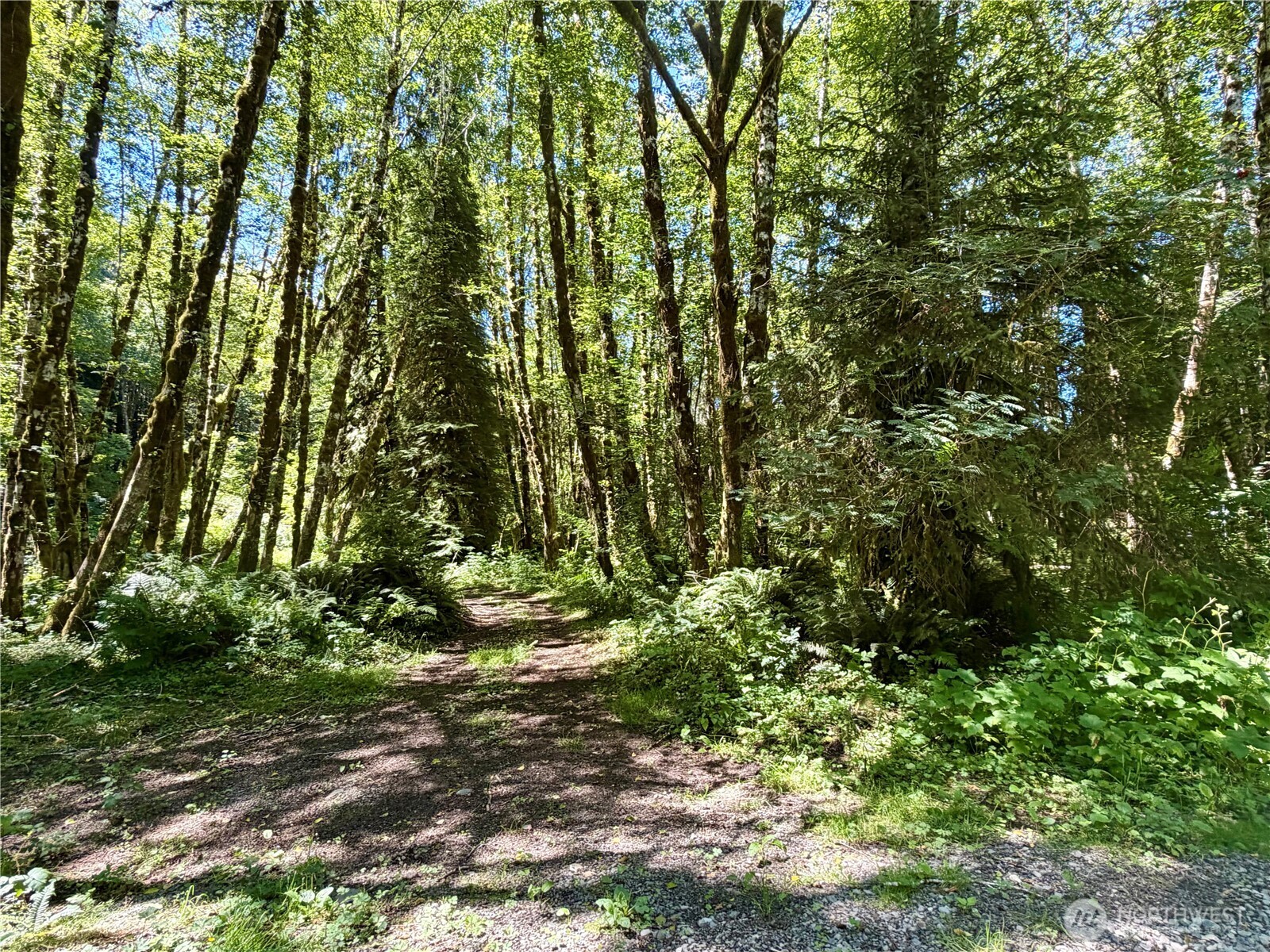292 Sportsman Club Road Forks, WA 98331 - Photo 4 of 10 Gallery Image 4