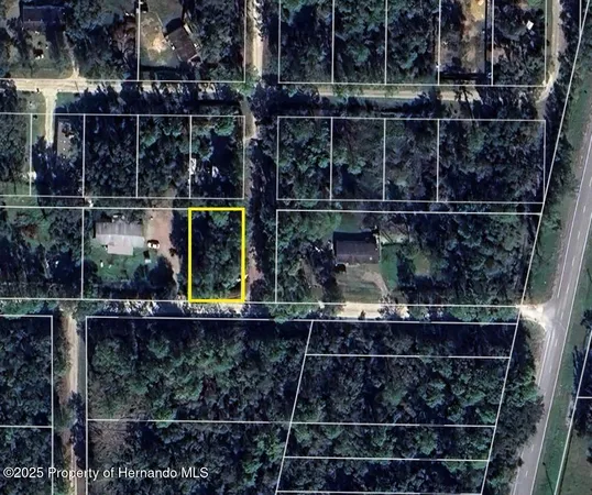 $9,500 | 0 Wilford Street, Webster, FL 33597