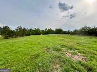 0 Bethany Road Madison, GA 30650 - Photo 10 of 21