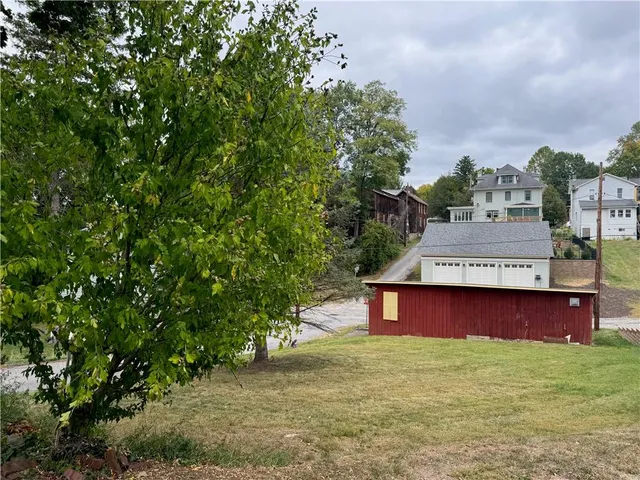 a view of a big yard with plants and large trees