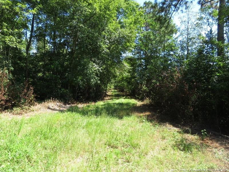 4512 Tobacco Road Orrum, NC 28369 - Photo 20 of 45