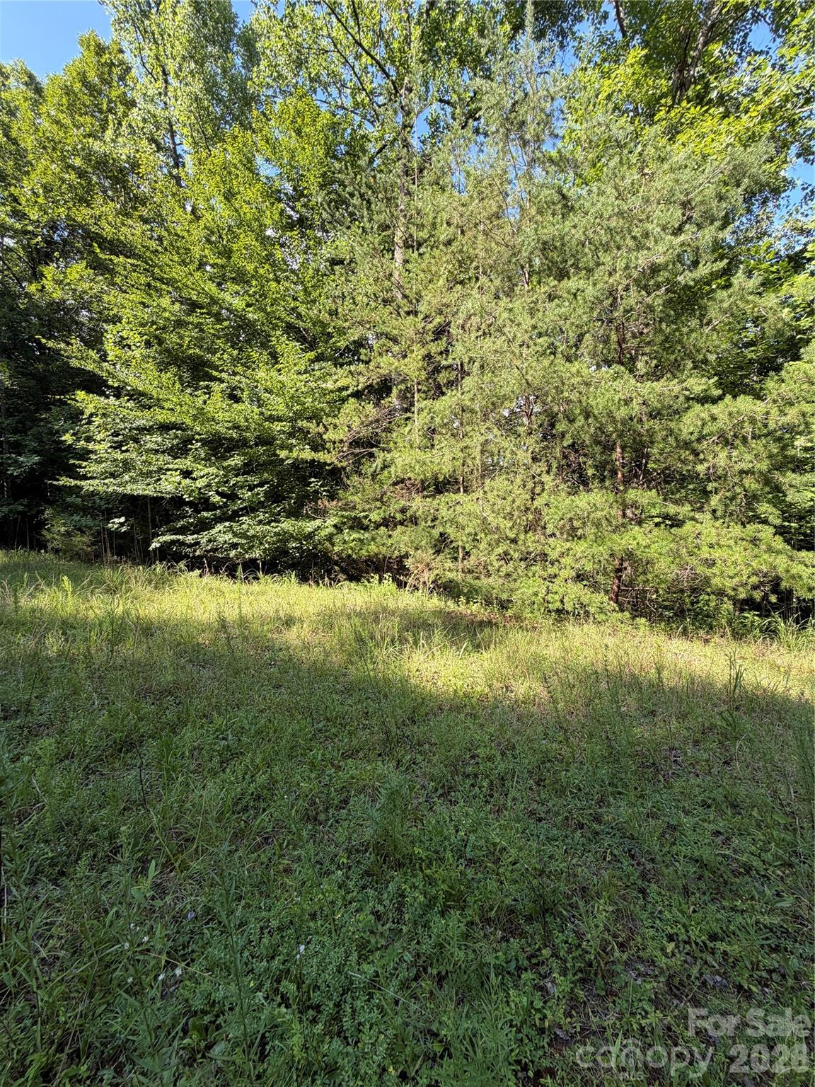 0 Greenhill Farms Drive, Unit 15 Rutherfordton, NC 28139 - Photo 10 of 10