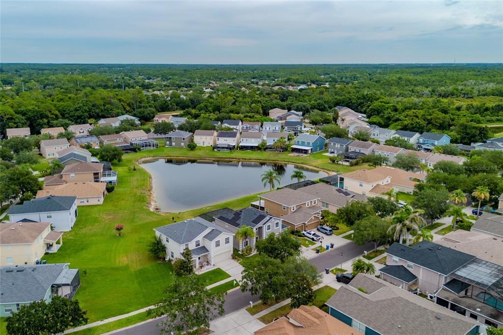 8919 North River Road Tampa, FL 33635 - Photo 2 of 55