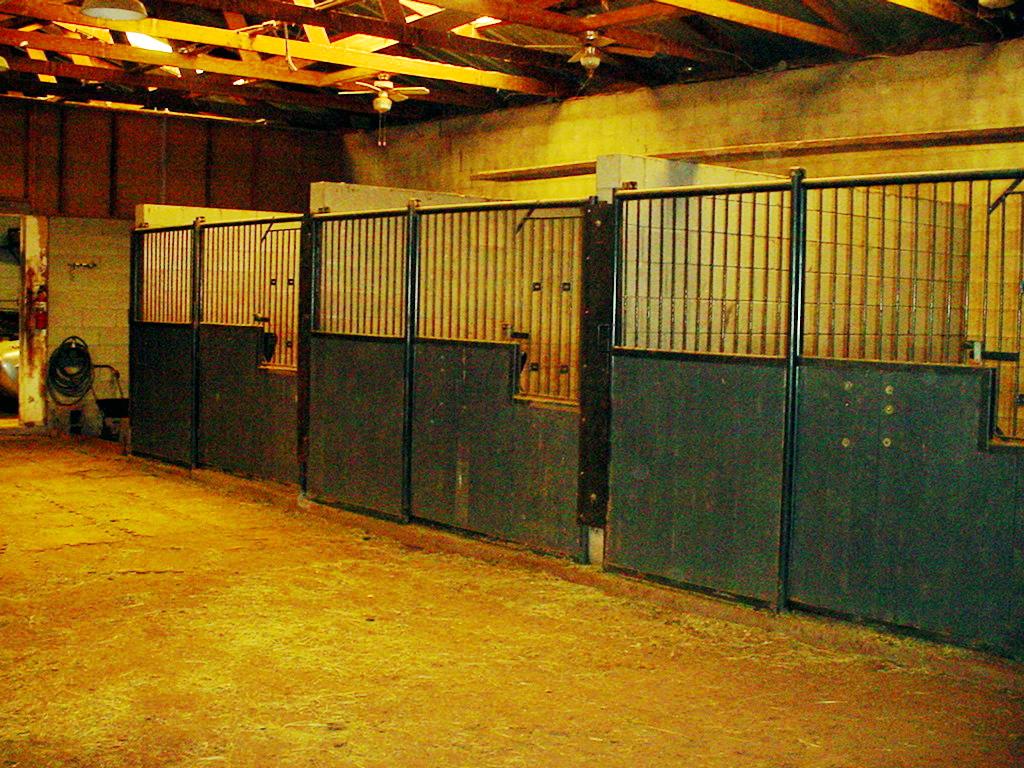 17421 West Hollywood Road Amarillo, TX 79119 - Photo 7 of 10 3 Horse Stalls