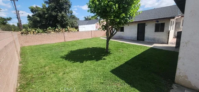 a view of a backyard with a tree