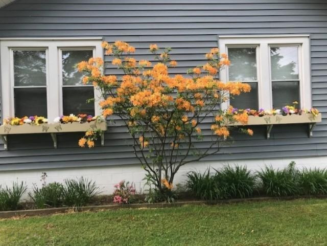 8722 West East Road Lakeside, MI 49128 - Photo 23 of 23 Flowering tree