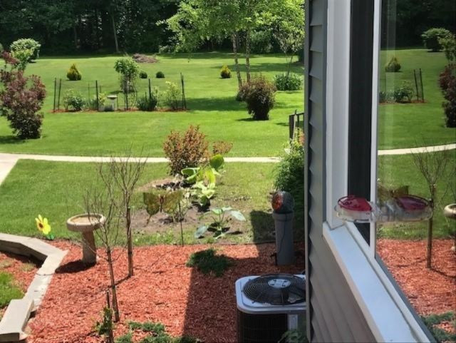 8722 West East Road Lakeside, MI 49128 - Photo 3 of 23 East side of house