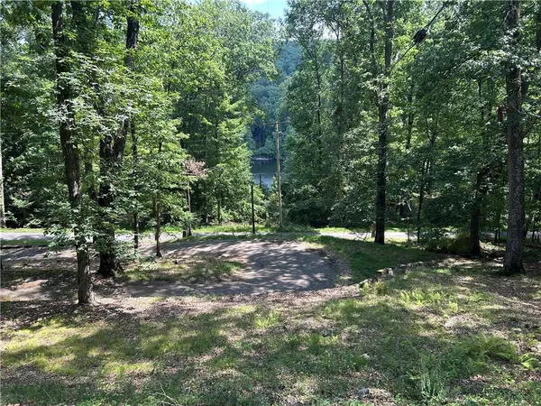 a view of a trees in a yard