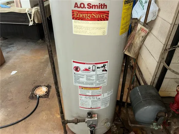 a view of a forest with trees in the background