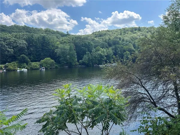 a view of a lake from a yard