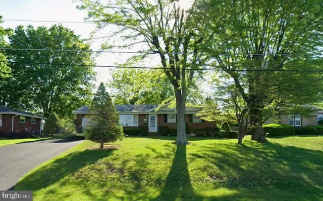 a backyard of a house with large trees and plants