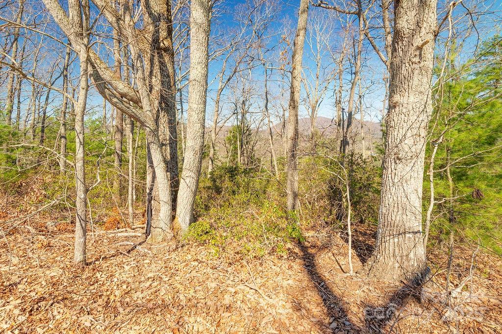 99999 Pheasant Ridge Road, Unit 13 Fairview, NC 28730 - Photo 3 of 8 Gallery Image 3
