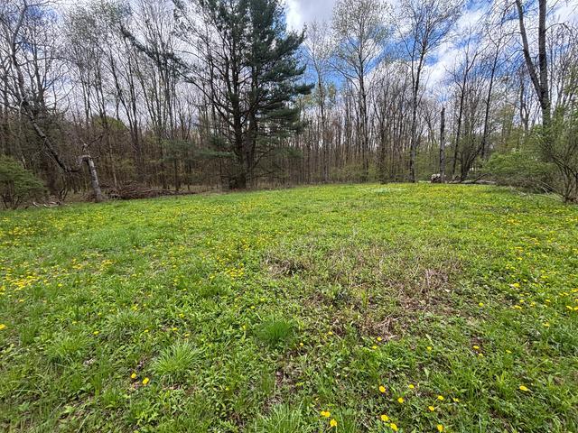 0 Scandia Road Russell, PA 16345 - Photo 2 of 3 Gallery Image 2