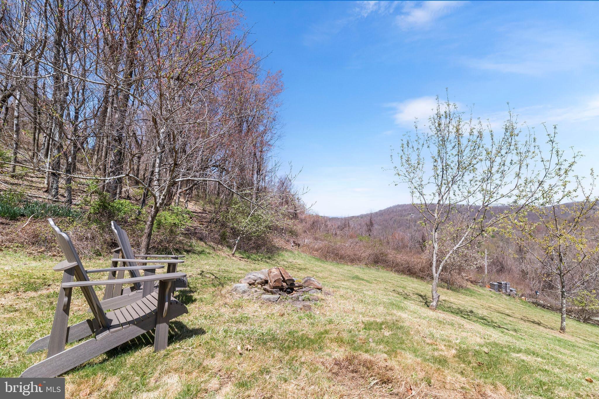 177 High Ridge Road Stanley, VA 22851 - Photo 23 of 29 View From Yard