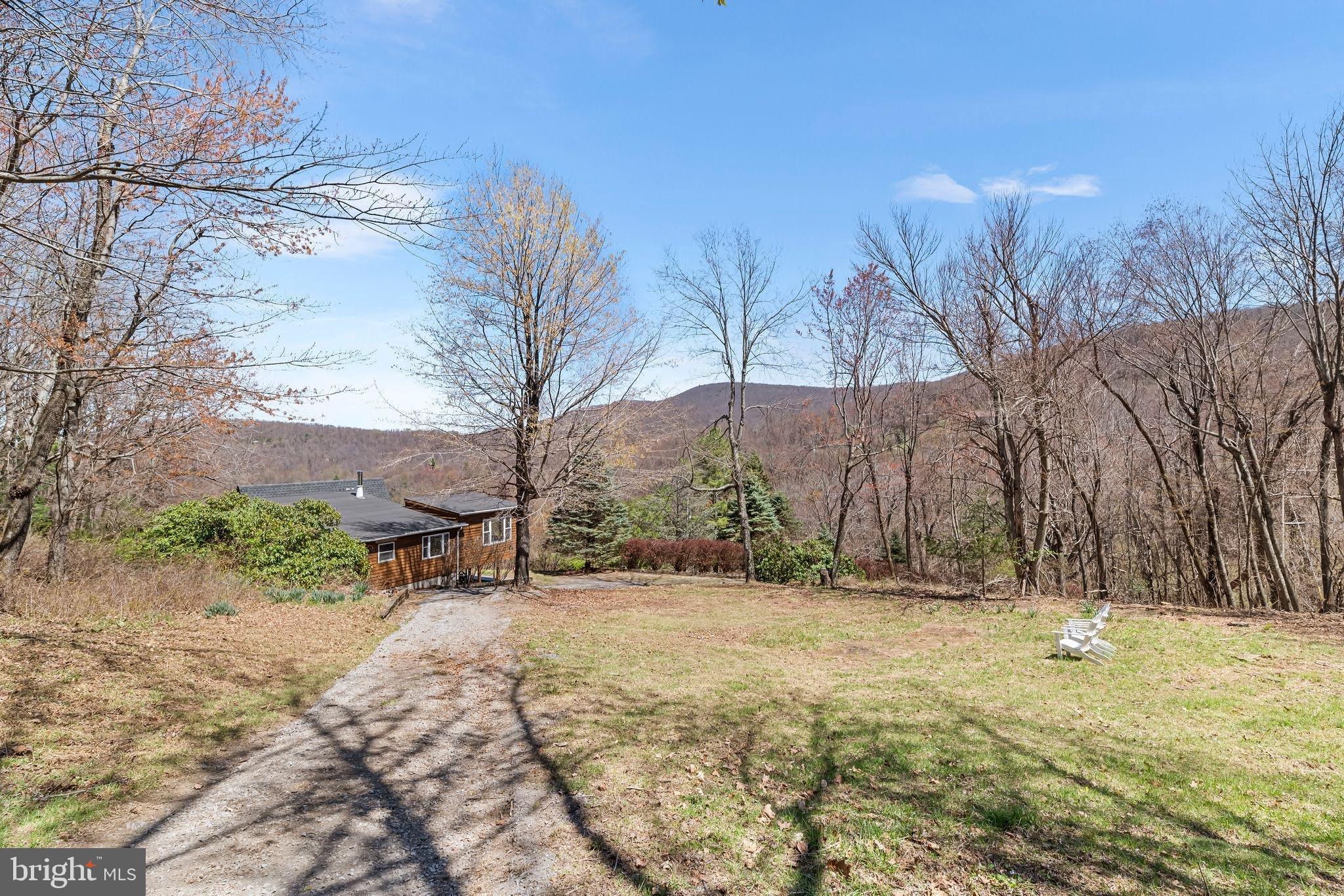 177 High Ridge Road Stanley, VA 22851 - Photo 25 of 29 Down the Back Driveway