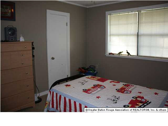 33415 Percy Young Road Walker, LA 70785 - Photo 13 of 22