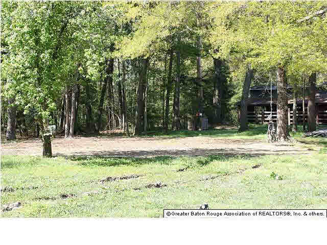 33415 Percy Young Road Walker, LA 70785 - Photo 18 of 22