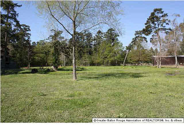 33415 Percy Young Road Walker, LA 70785 - Photo 20 of 22