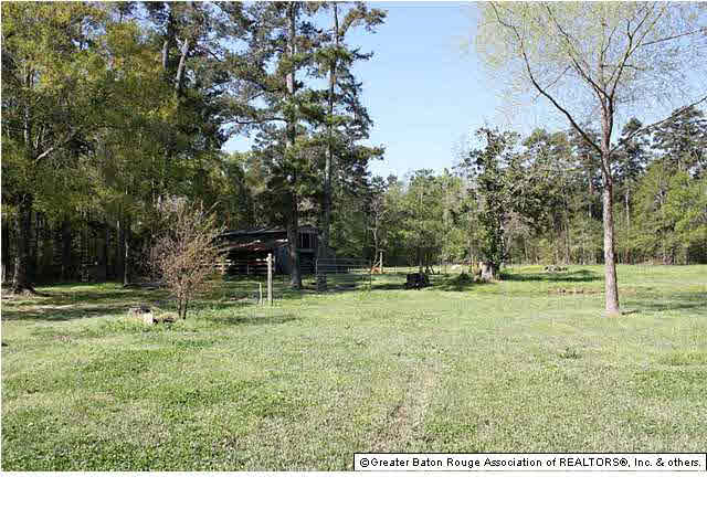 33415 Percy Young Road Walker, LA 70785 - Photo 21 of 22