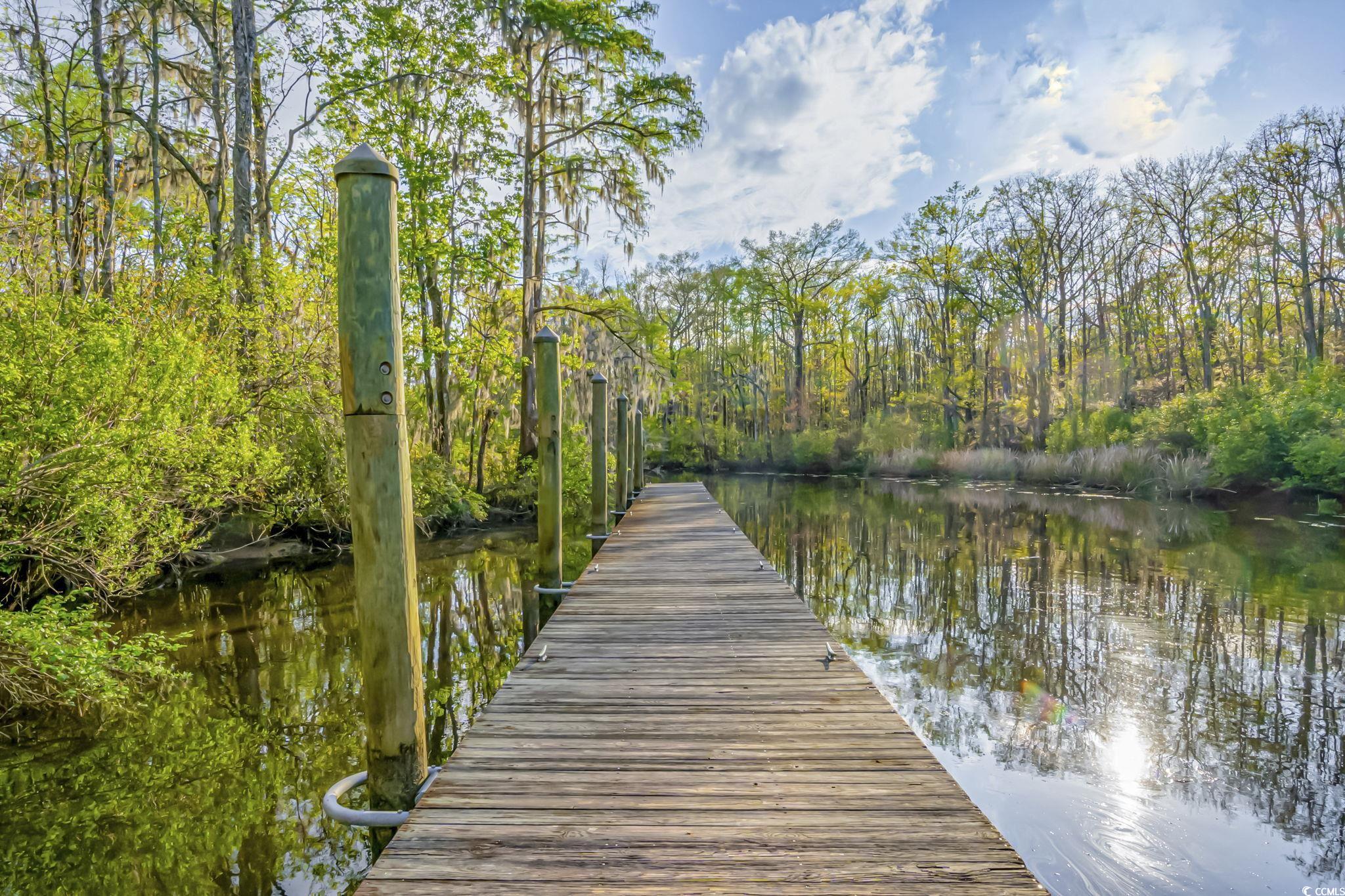 128 Knotty Pine Way Murrells Inlet, SC 29576 - Photo 39 of 40