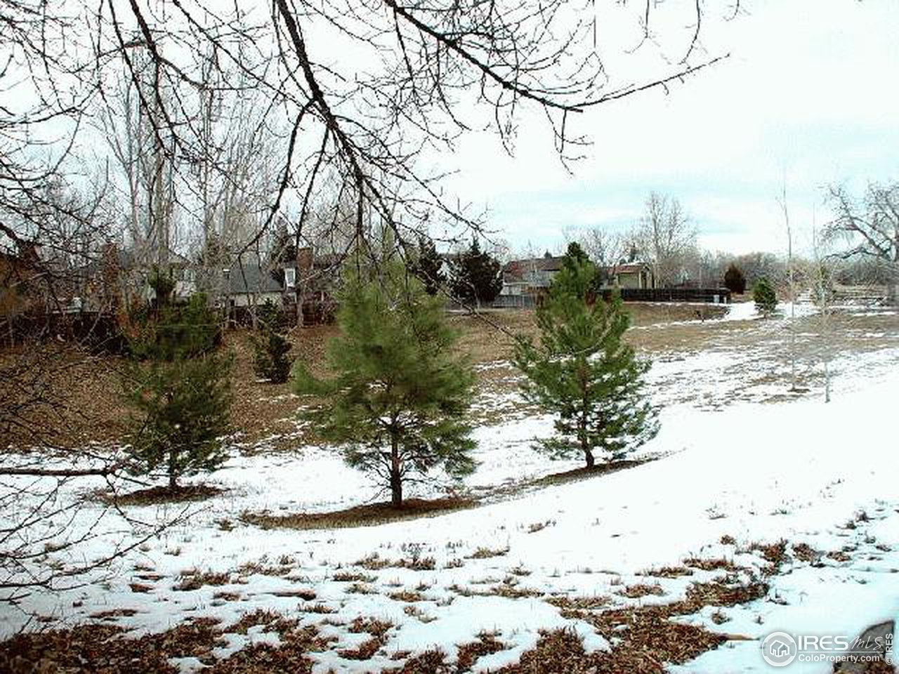 1424 Independence Road Fort Collins, CO 80526 - Photo 4 of 10 Gallery Image 4