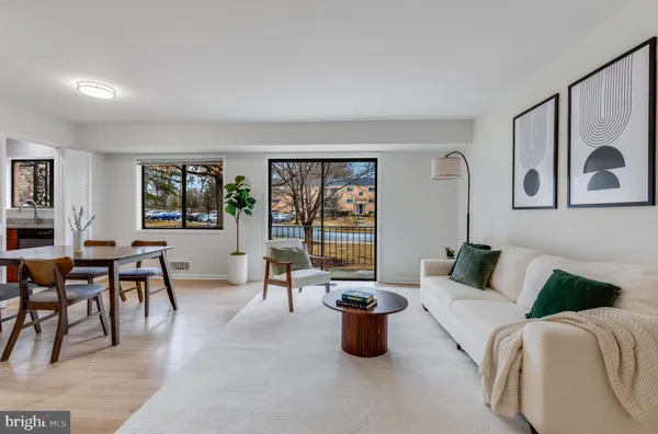 a living room with furniture a rug potted plant and a window