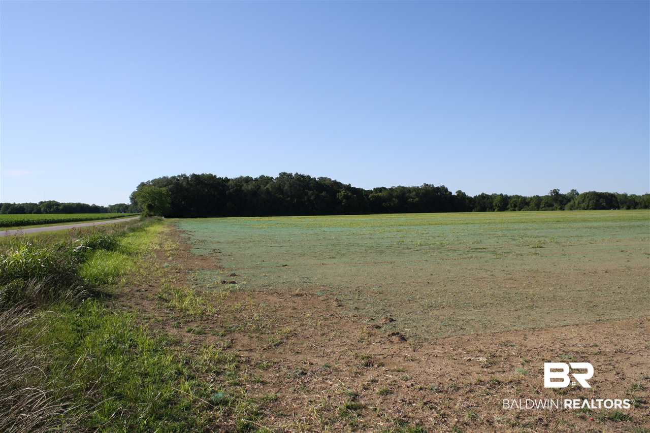 0 Vernant Park Road Foley, AL 36535 - Photo 8 of 20