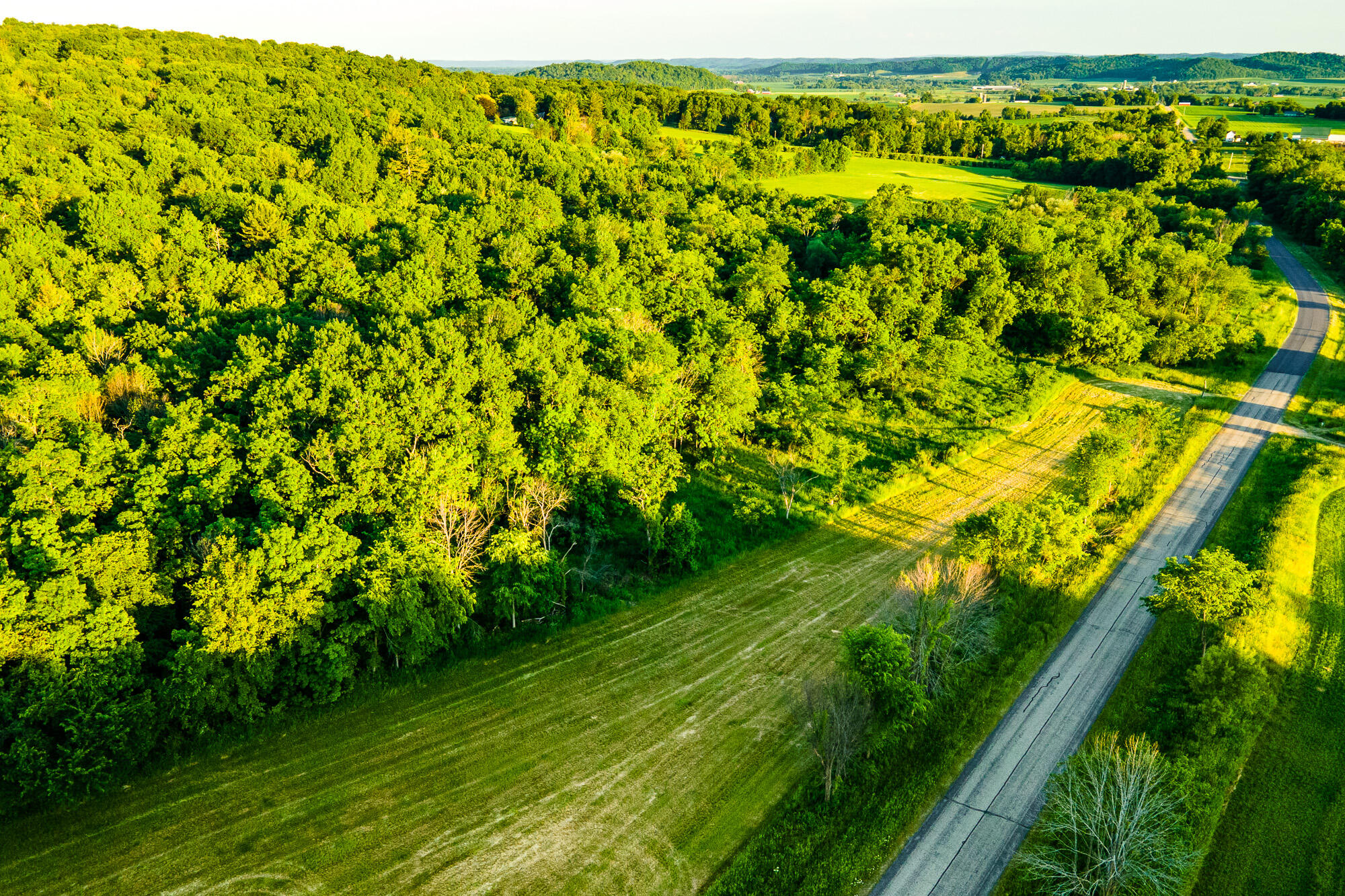 Lt0 Denzer Road North Freedom, WI 53951 - Photo 8 of 68 Sauk-County-WI-54-Acres-Land-For-Sale-8