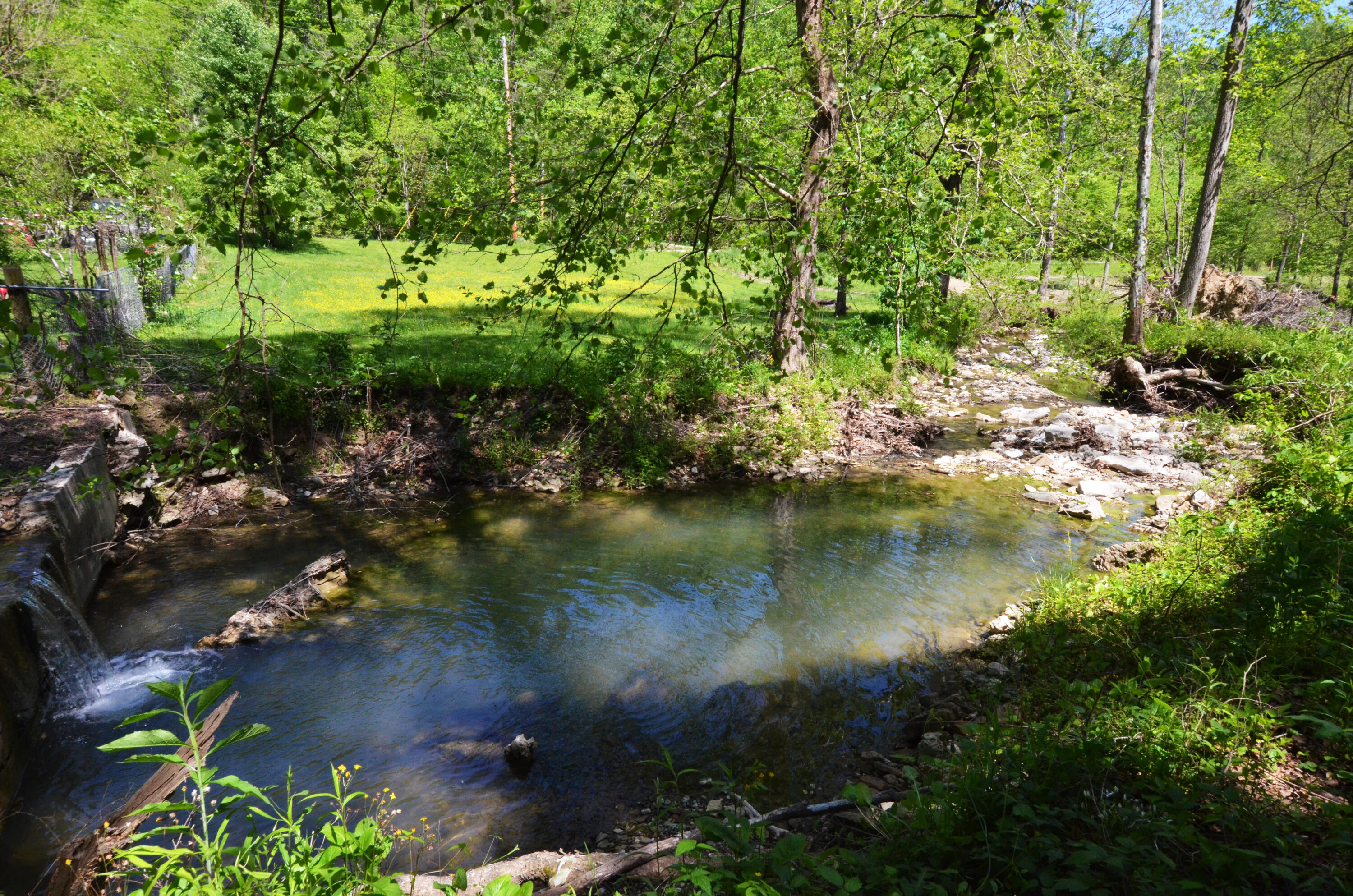 3425 Fitchburg Road Ravenna, KY 40472 - Photo 6 of 76 Swiming hole!