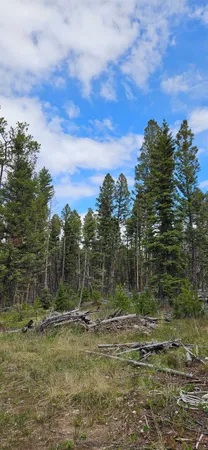 $46,000 | 0 Bear Gulch Road, Lincoln, MT 59639