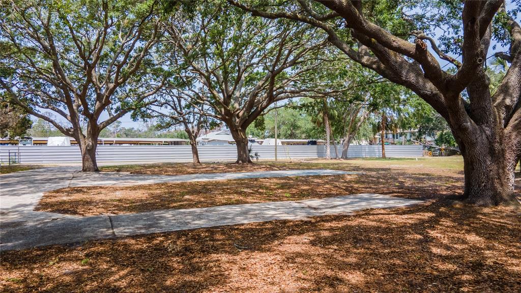 1810 Cemetery Road Holiday, FL 34691 - Photo 8 of 15 a view of a yard with a tree