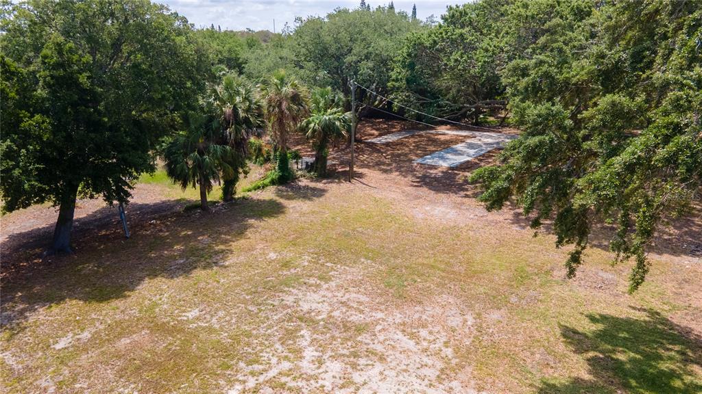 1810 Cemetery Road Holiday, FL 34691 - Photo 10 of 15 a view of a yard with a tree
