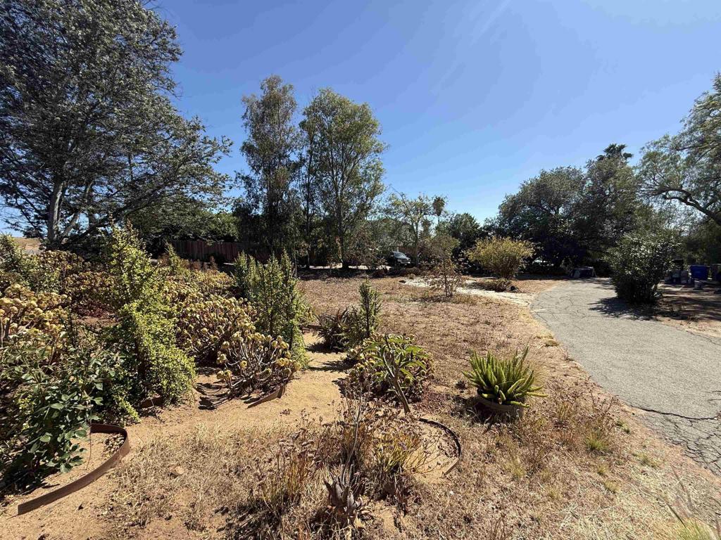 231 South Stage Coach Lane Fallbrook, CA 92028 - Photo 3 of 3