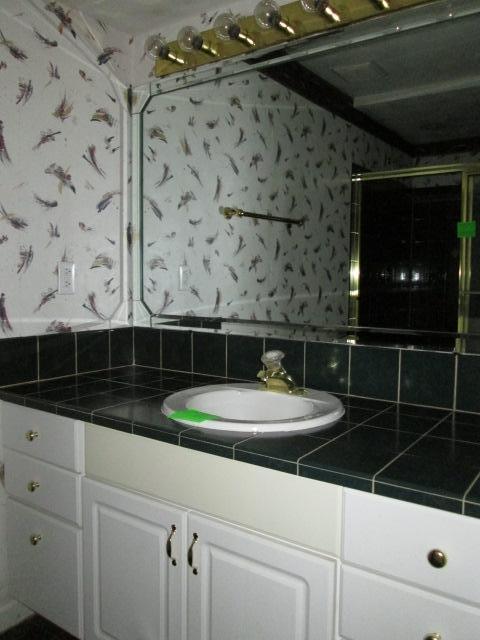 6176 Merriman Road Roanoke, VA 24018 - Photo 22 of 27 Lower Level Vanity 3