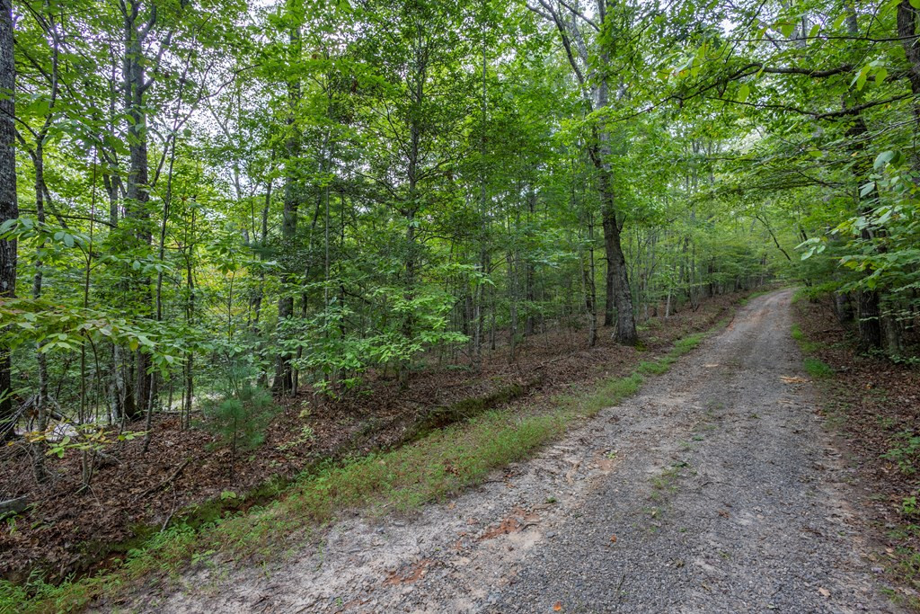 2-ac Horvath Road Murphy, NC 28906 - Photo 8 of 12