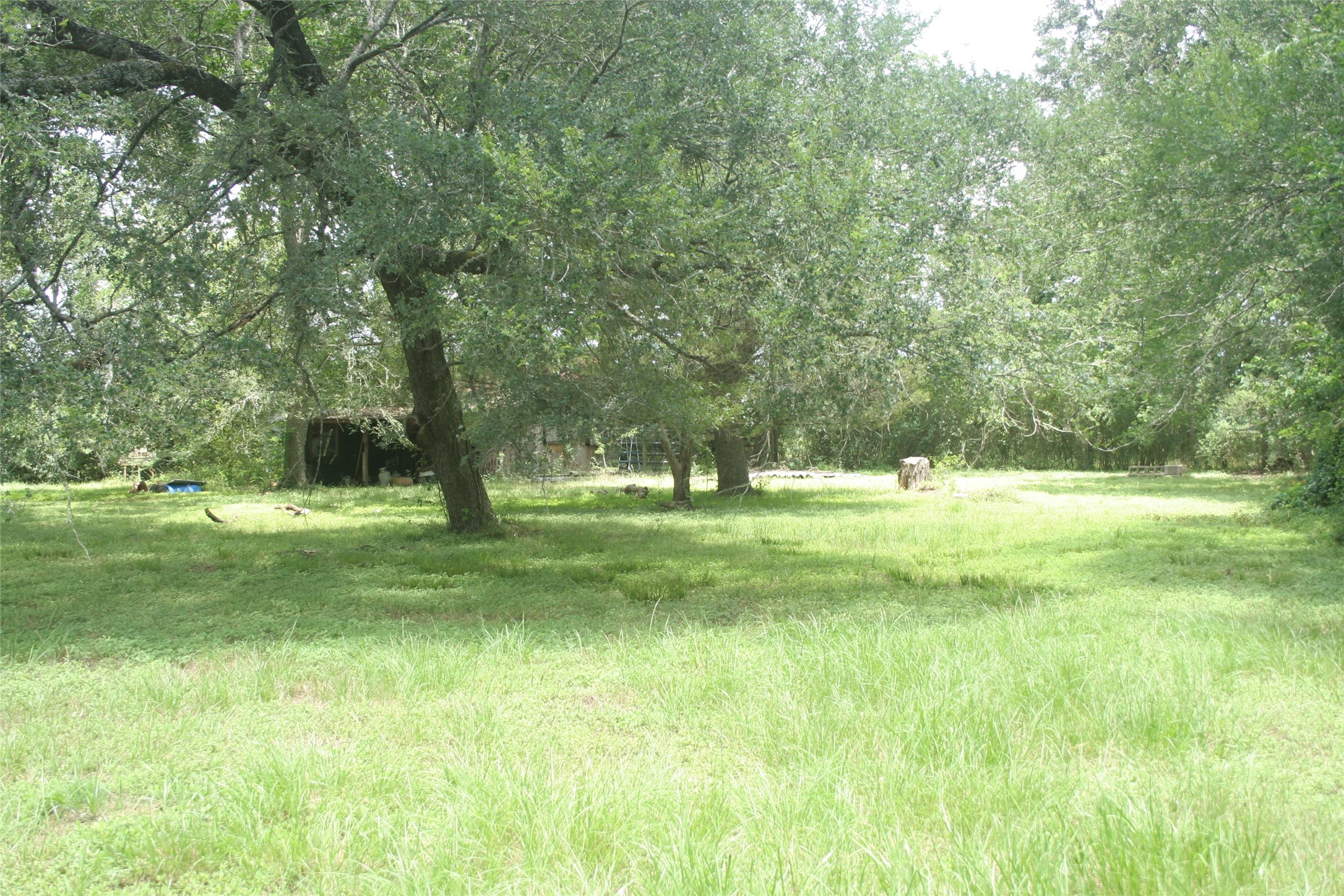 634 South Mt Mariah Road Montgomery, TX 77316 - Photo 9 of 10