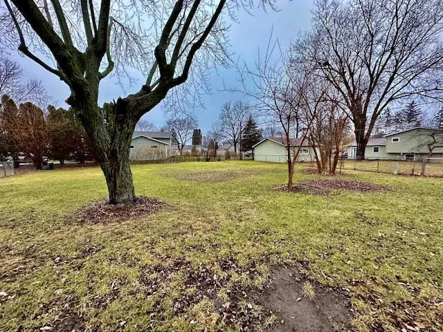 a view of a yard with a tree