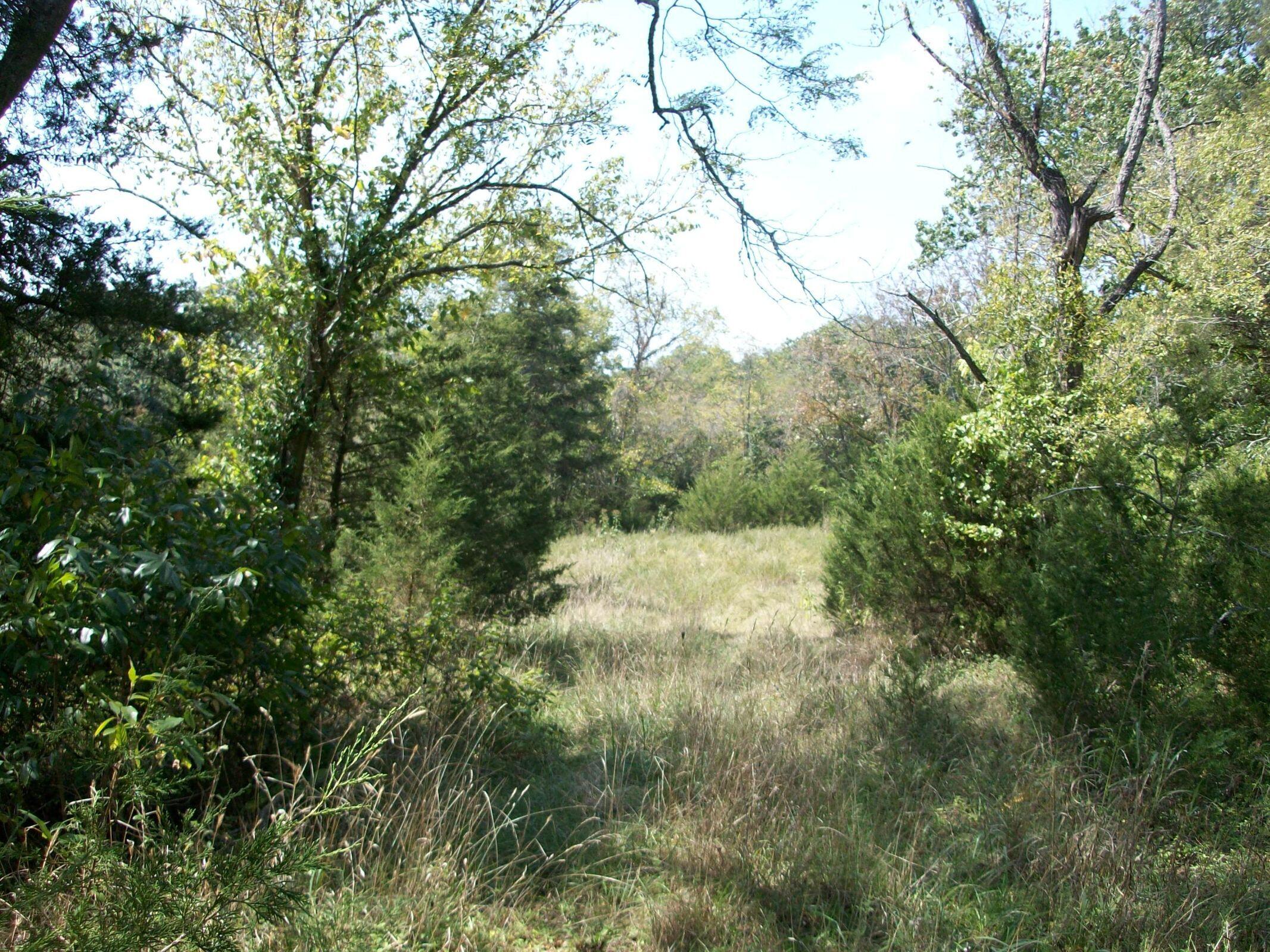 0 Cahill Road Branson, MO 65616 - Photo 1 of 1 20151001203118088857000000-o