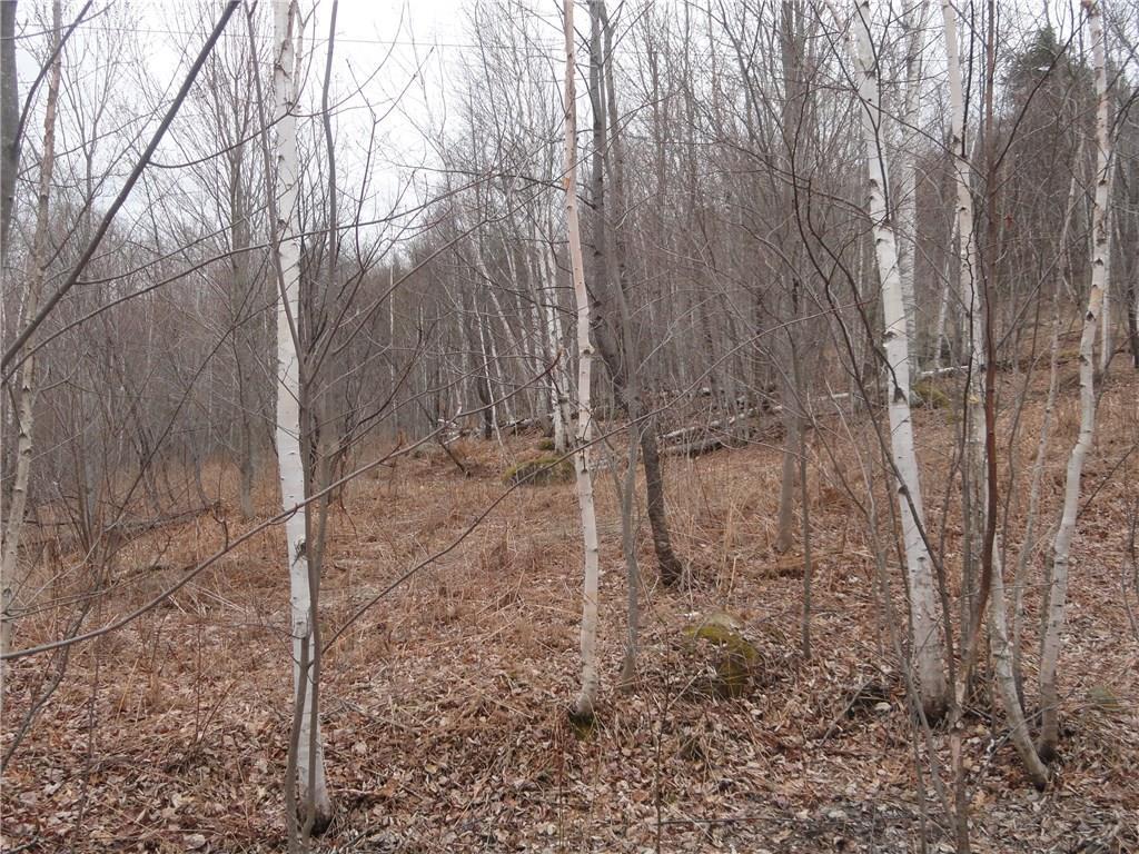 0 Redding-saunders Road Bryant Pond, ME 04219 - Photo 21 of 29 Photo