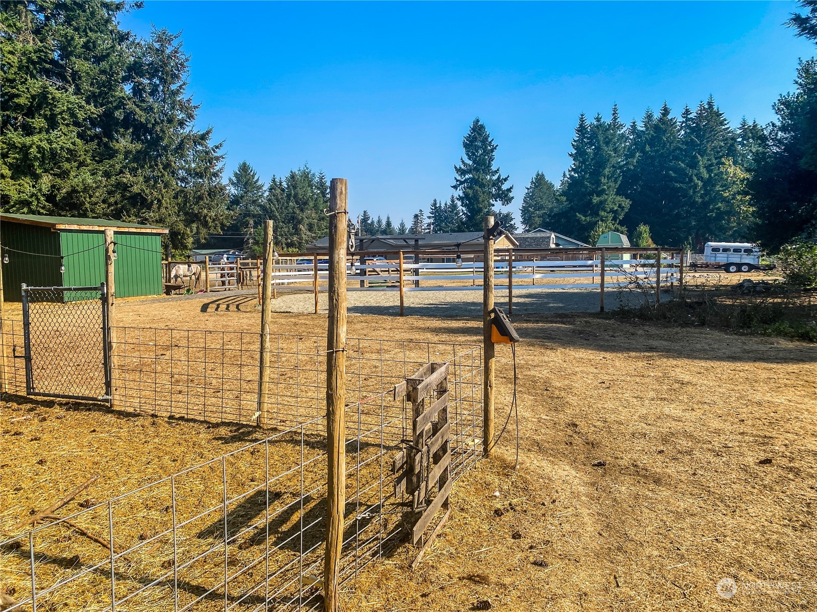 18820 Apricot Street Southwest Rochester, WA 98579 - Photo 32 of 38 a view of yard
