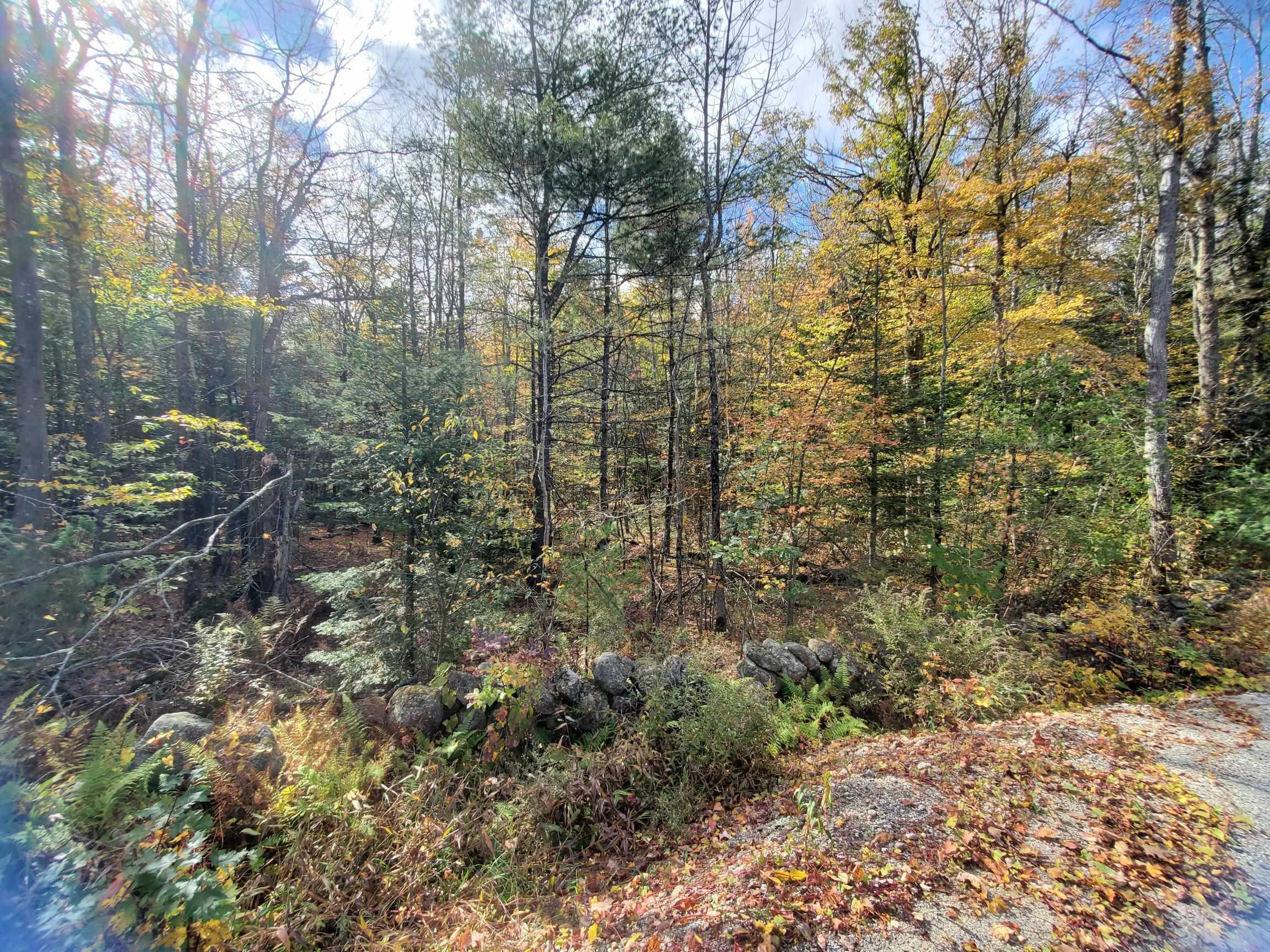 0 Windsor Road, Unit 9 Hillsborough, NH 03244 - Photo 7 of 10