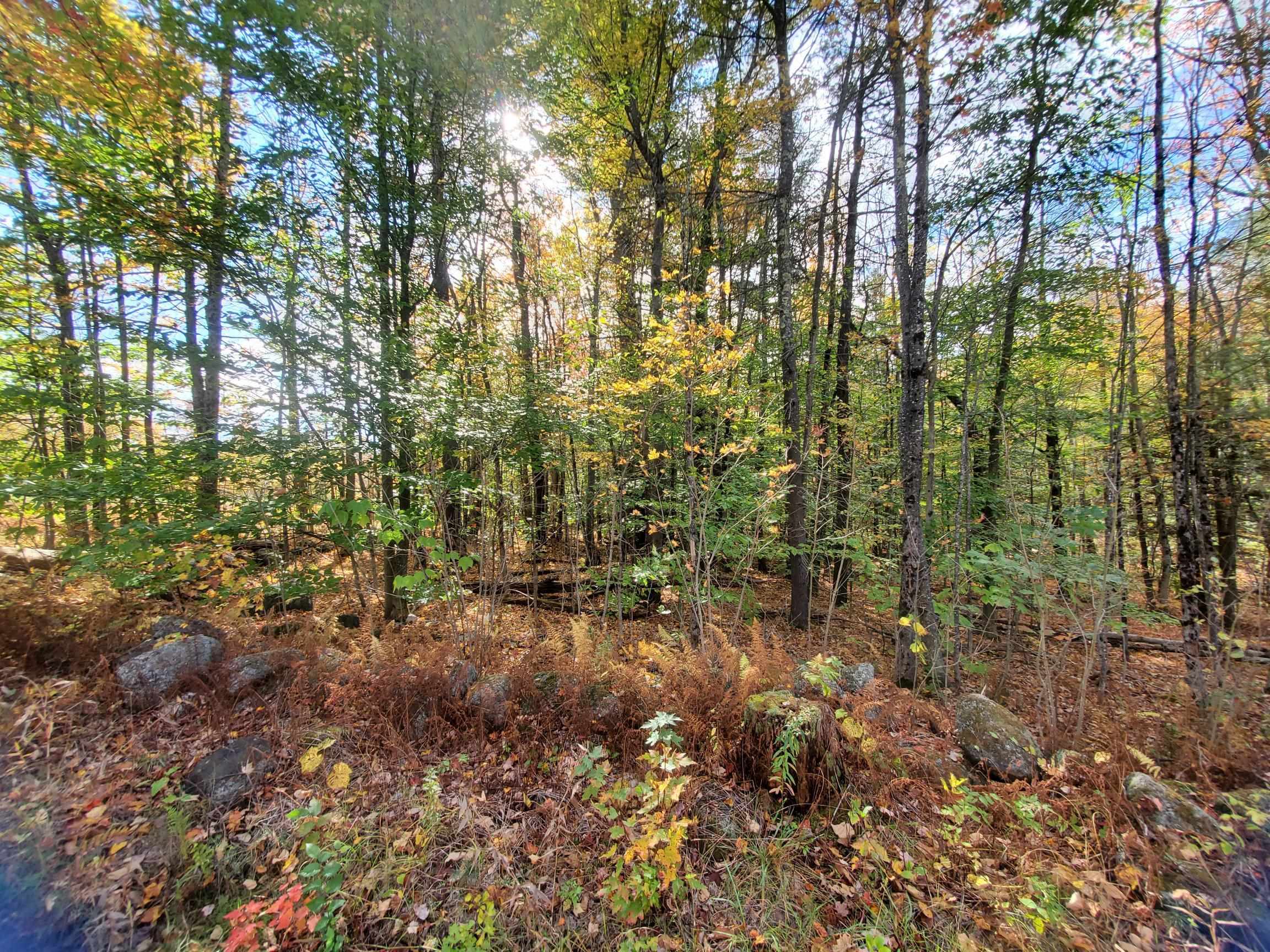 0 Windsor Road, Unit 9 Hillsborough, NH 03244 - Photo 8 of 10