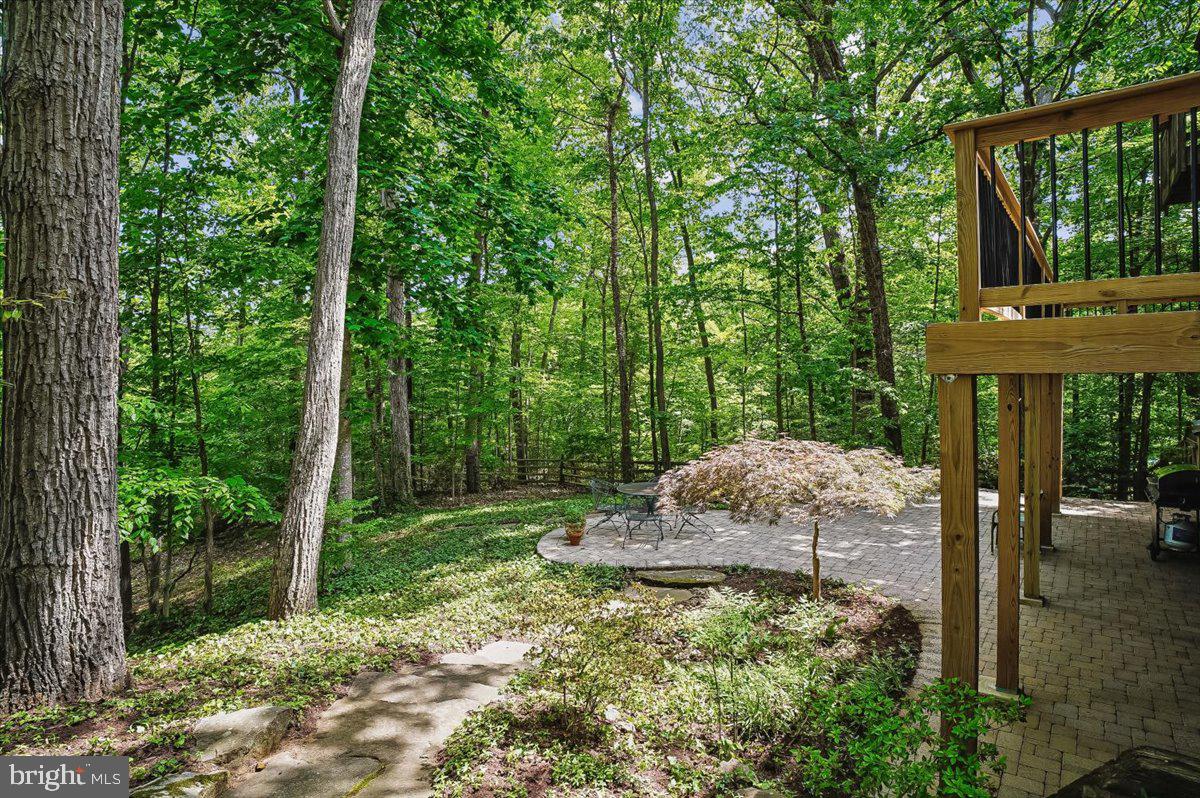 120 Kingswood Road Annapolis, MD 21401 - Photo 47 of 56 Backyard