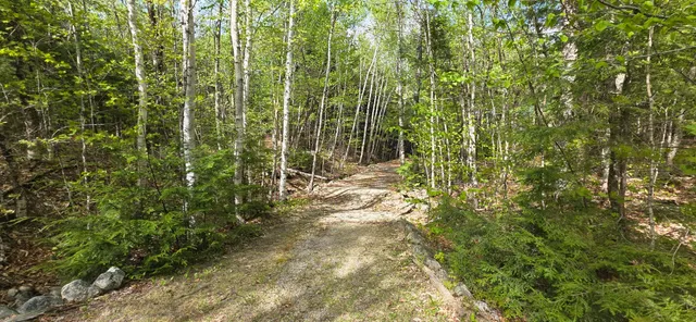 $235,000 | 1261 Turkey Tail Road, Millinocket, ME 04462
