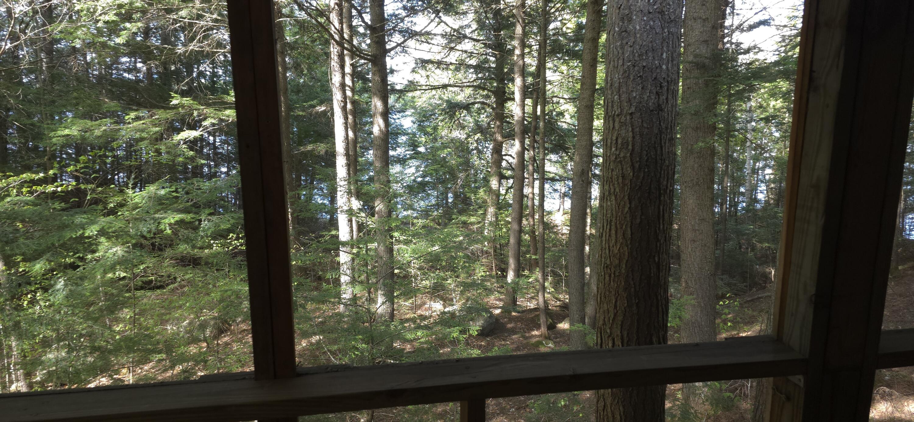 1261 Turkey Tail Road Millinocket, ME 04462 - Photo 29 of 41 20250515_153749