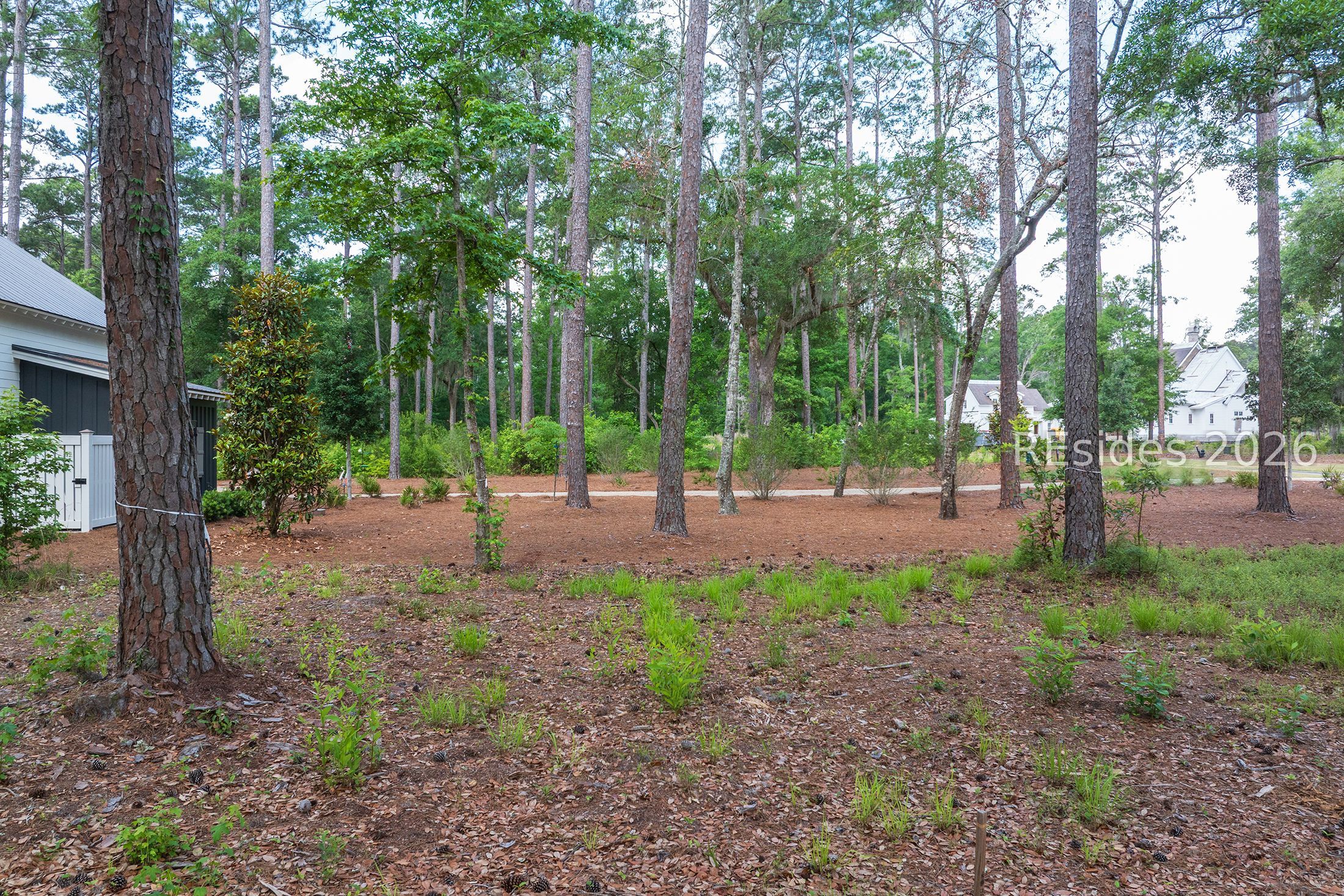 67 Lupine Road Bluffton, SC 29910 - Photo 7 of 19