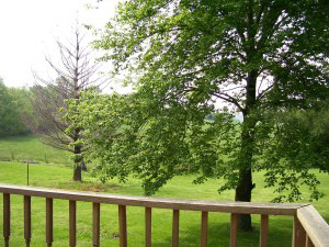 2524 Spice Valley Road Mitchell, IN 47446 - Photo 2 of 3 Gallery Image 2