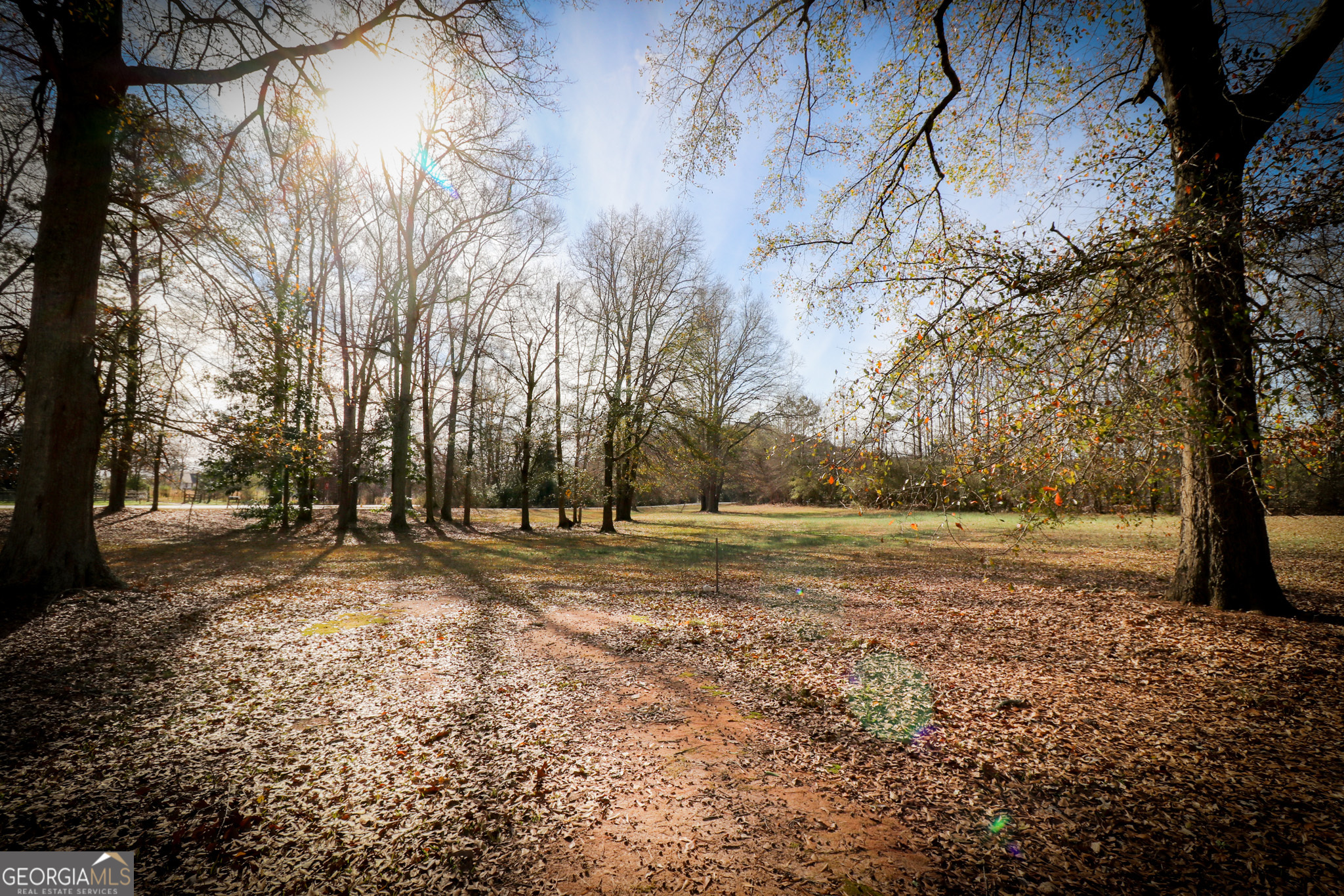 2447 Williamson Road Williamson, GA 30292 - Photo 42 of 95 a view of dirt yard with a large tree